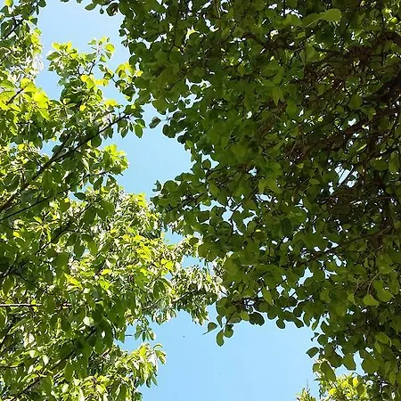 Casinha Da Avo Vakantieboerderij